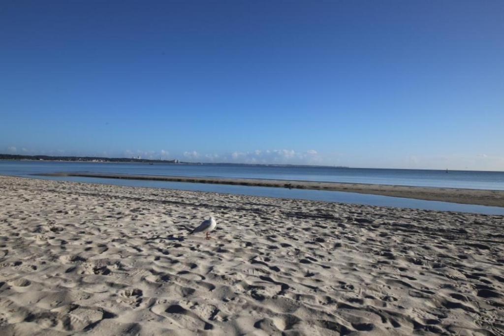 Ferienwohnung Seesternchen 3 Scharbeutz Luaran gambar